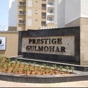Prestise gulmohar