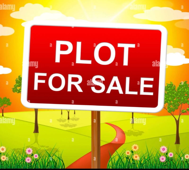 plot for sale