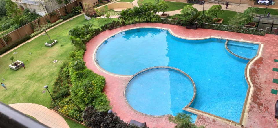 swimming pool
