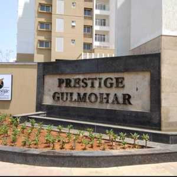 Prestise gulmohar