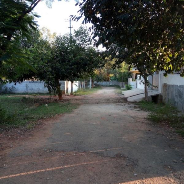 plot road