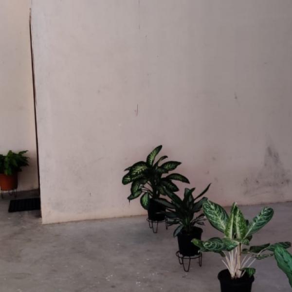 3 bhk flat for rent in hiranandani cypress, devanahalli